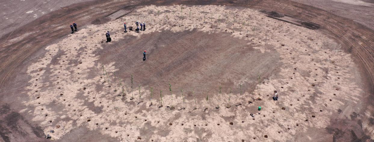 Imagen tomada con un drone muestra un terreno con pozos para plantar árboles en el margen superior izquierdo se ve un grupo de personas plantando.