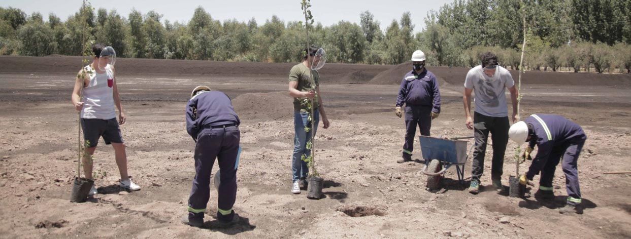 Tres hombres con ropa común usan escafandras transparentes mientras que tres trabajadores vestidos de azul los ayudan a plantar árboles.